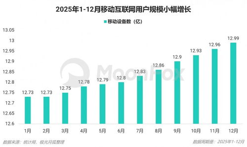 2025年第四季度移動互聯網行業(yè)數據研究報告 數據服務領域的深度洞察